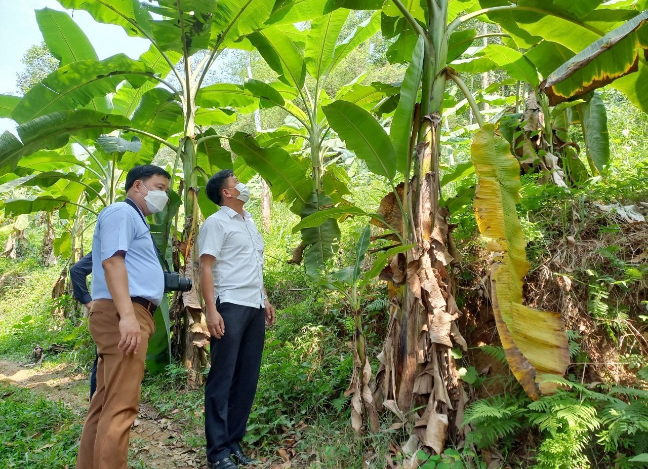 CÂU CHUYỆN SẢN PHẨM